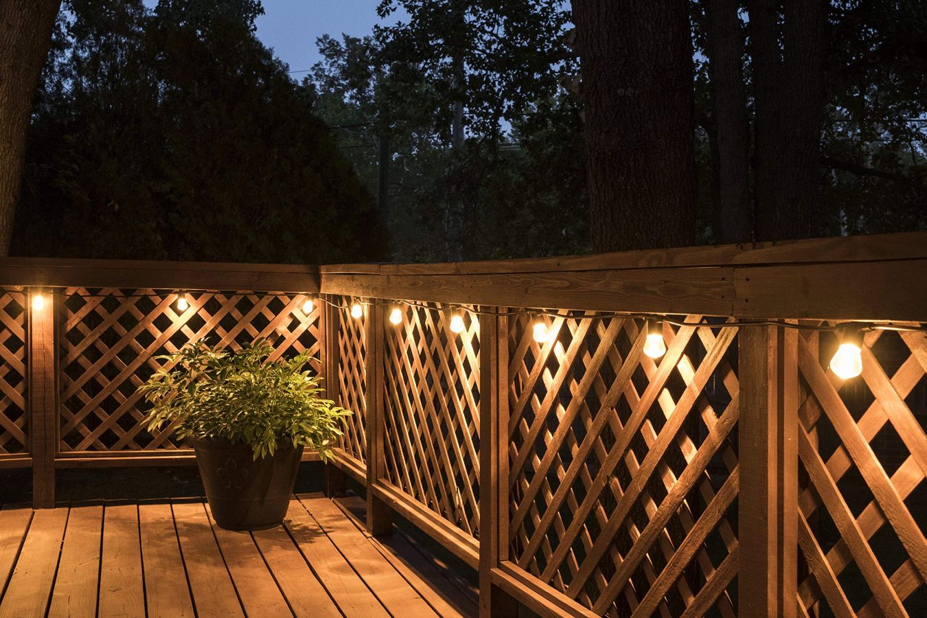 Best Outdoor Light IP Rating: Expert Guide - Flyachilles