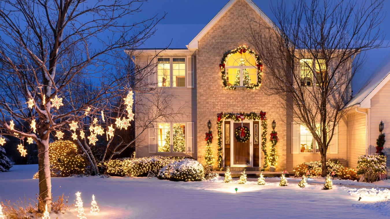 Christmas Light Ideas for Outdoor Trees: Light Up Your Christmas - Flyachilles