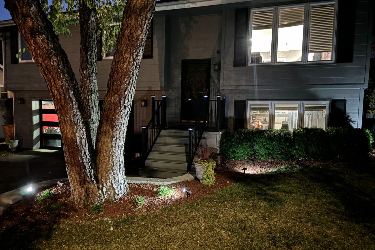 How Many Spotlights Per Tree? A Practical Guide to Tree Trunk Lighting - Flyachilles