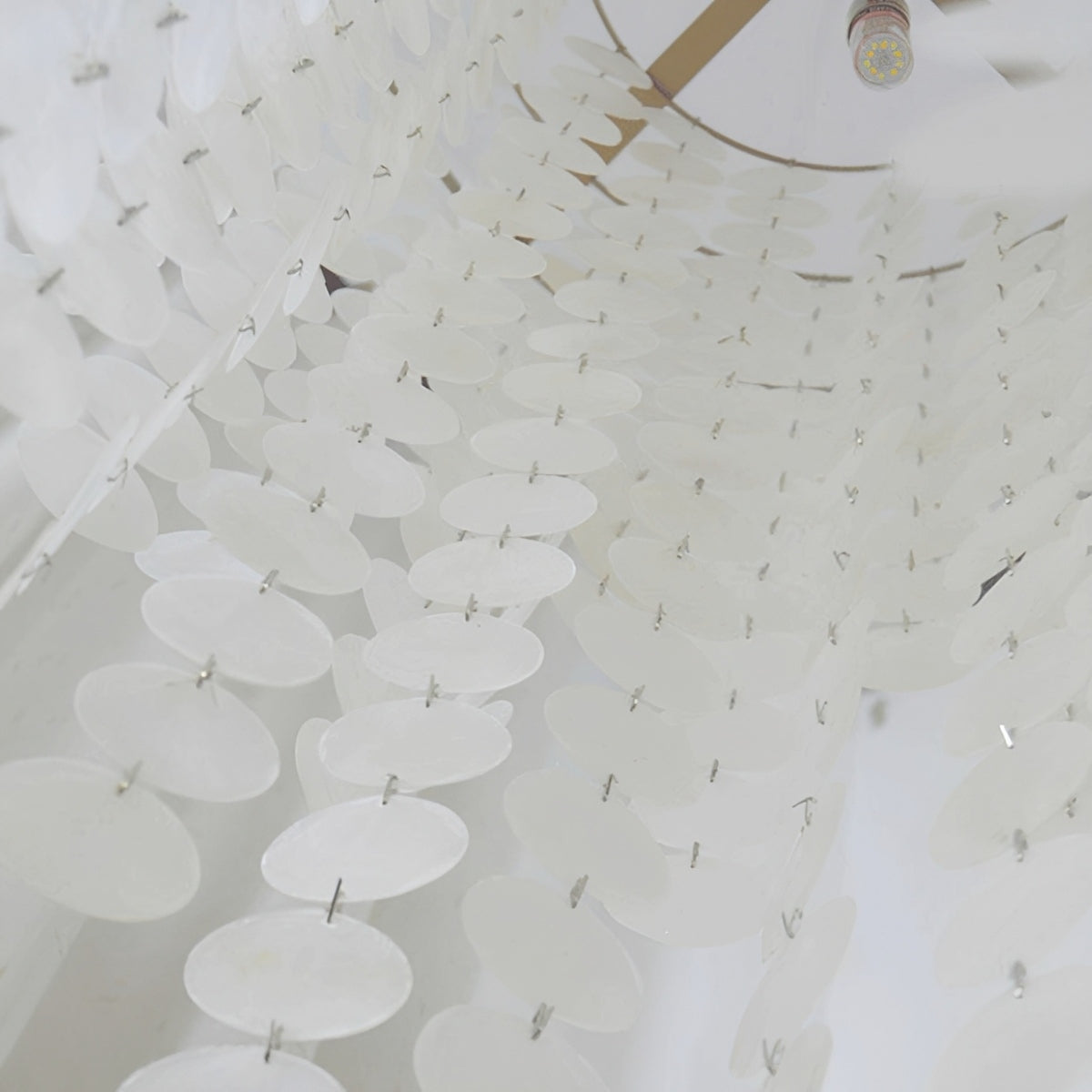 French Natural Shell Cascading LED Chandelier