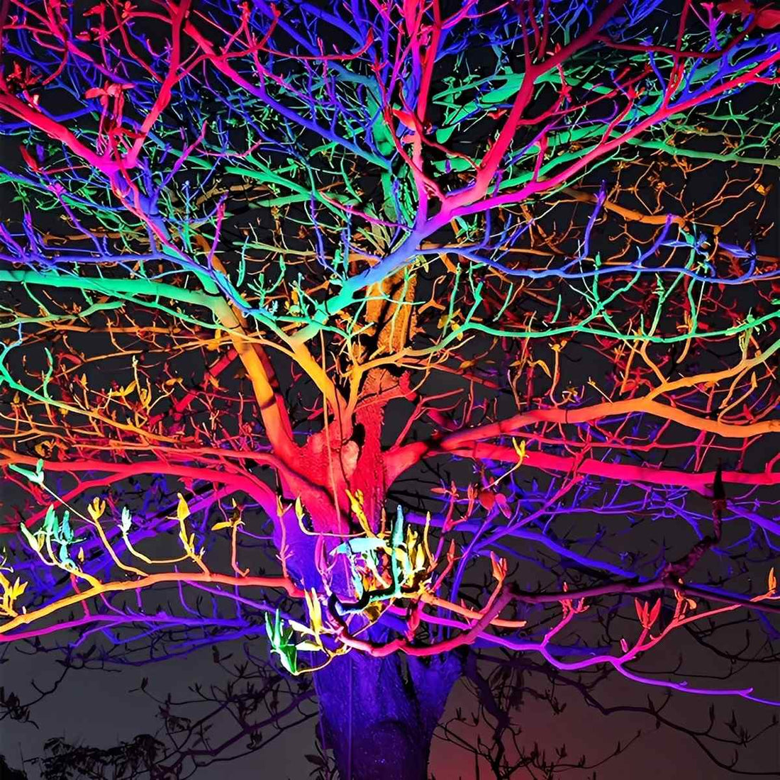 Tunable Outdoor Waterproof RGB LED Spot Light Landscape Tree Lighting With Remote Control