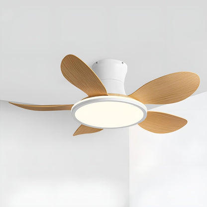 Modern Minimalist 15.7&