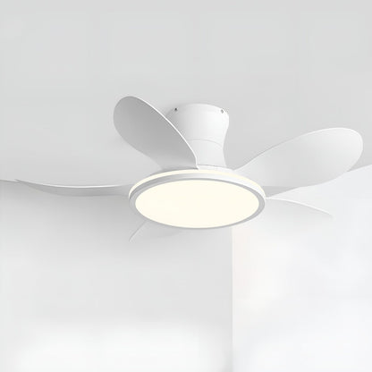 Modern Minimalist 15.7&