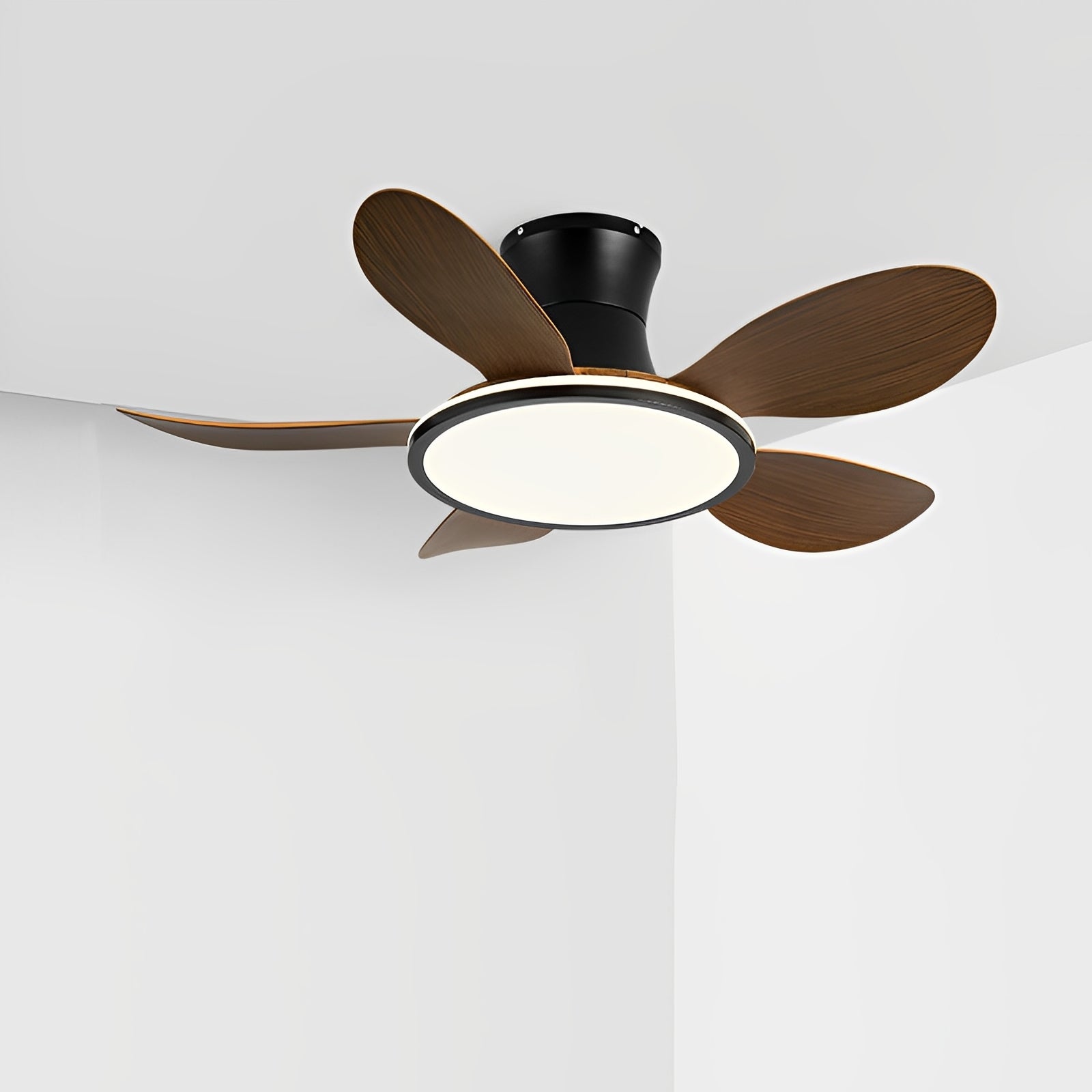 Modern Minimalist 15.7&