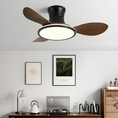 Modern Minimalist 15.7&