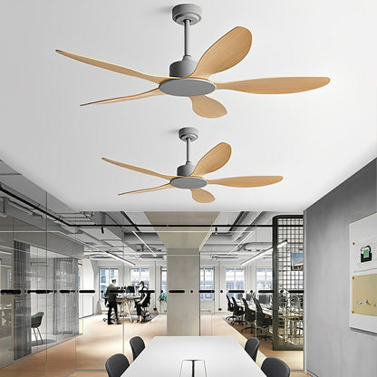 Modern Minimalist 5 - Blades DC Motor Reverse Ceiling Fan - Flyachilles