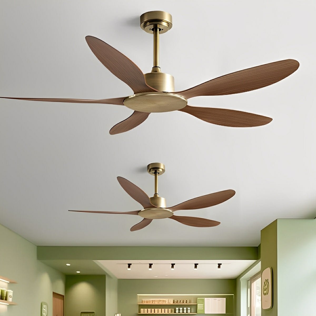 Modern Minimalist 5 - Blades DC Motor Reverse Ceiling Fan - Flyachilles