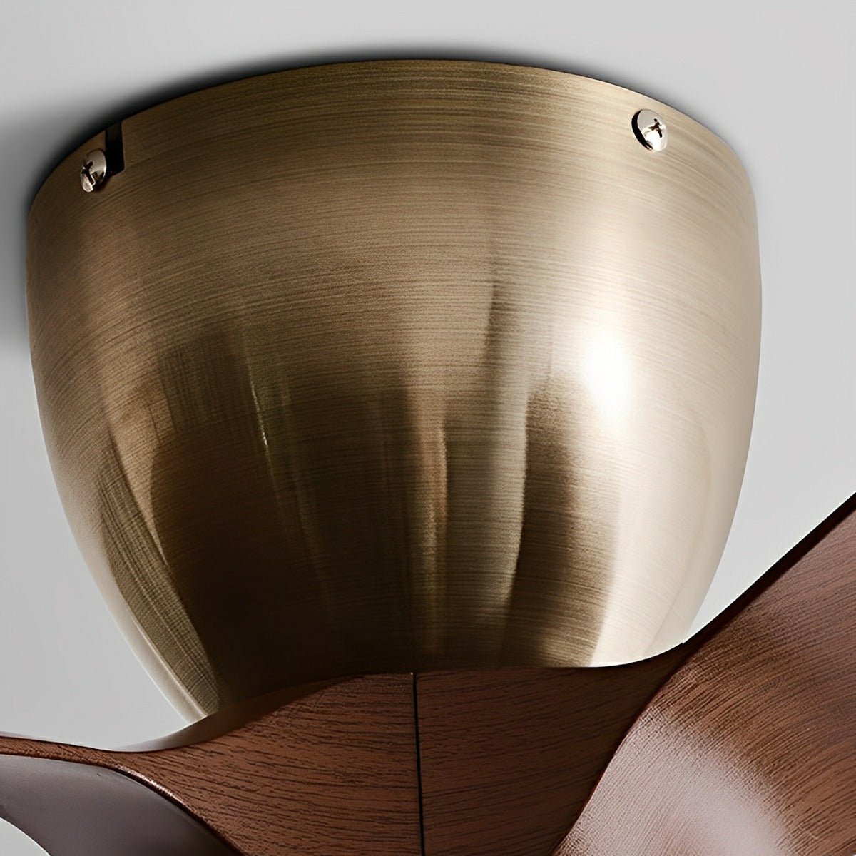 Modern Minimalist DC Motor Reverse Ceiling Fan Light - Flyachilles