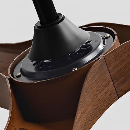 Modern Scandinavian Minimalist DC Motor Reverse Ceiling Fan Light - Flyachilles