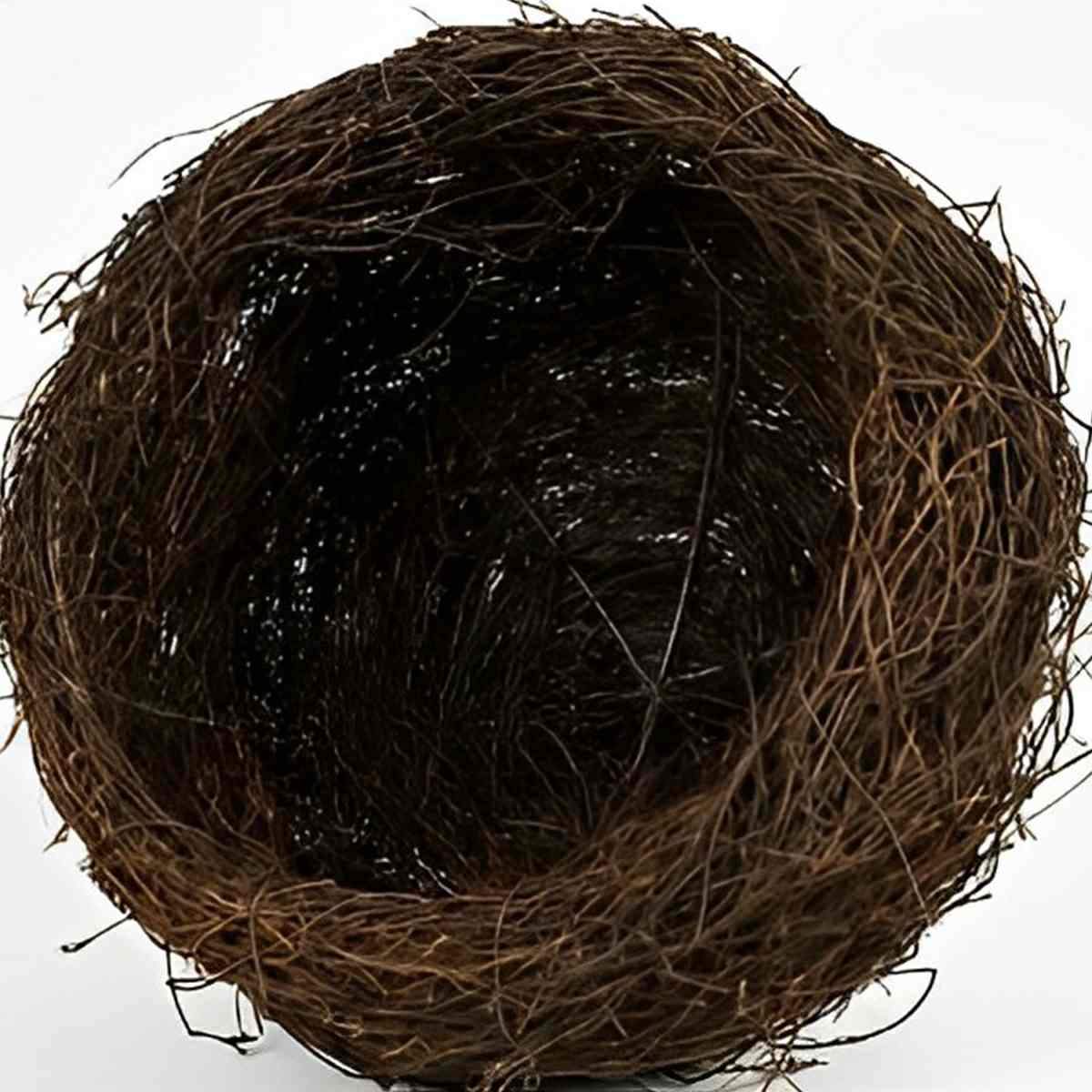 Outdoor Waterproof Bird&