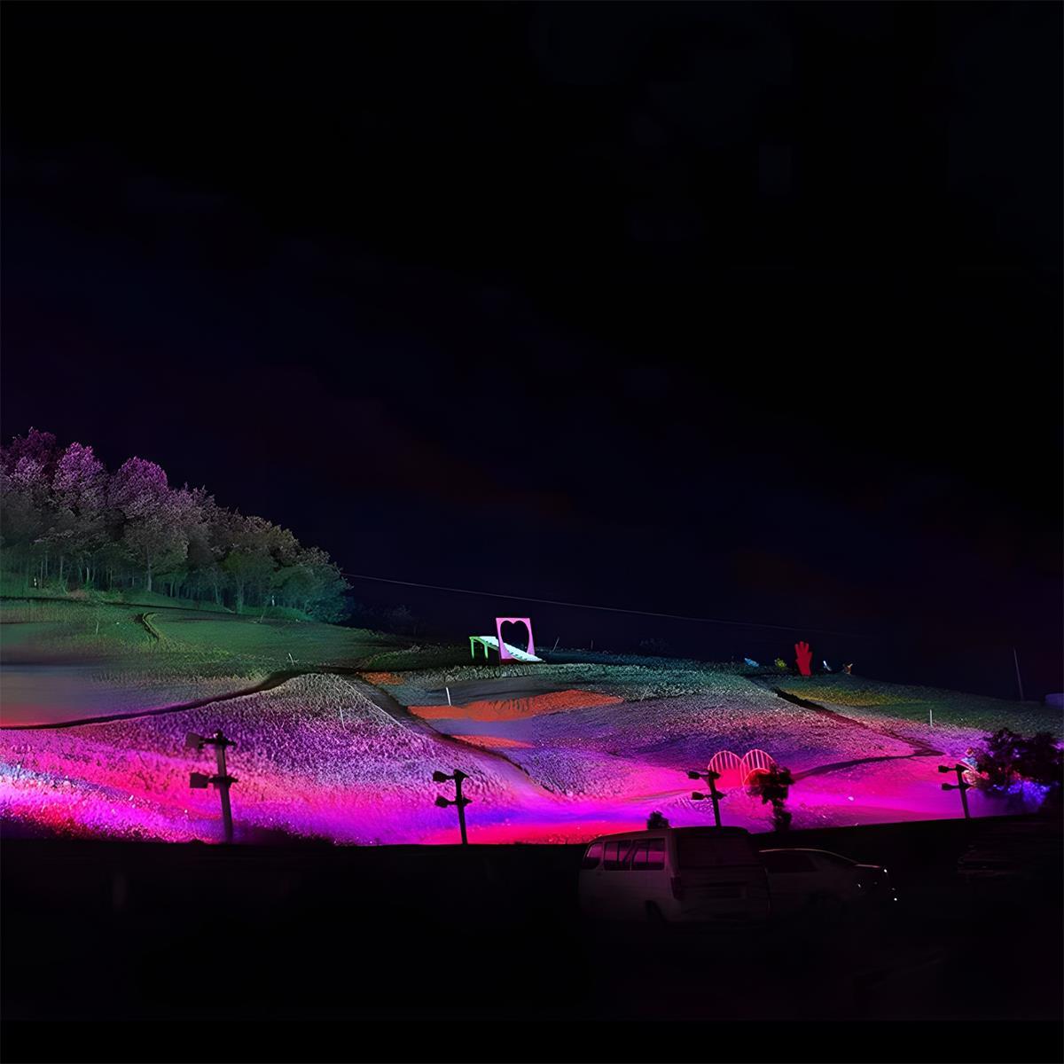Outdoor Waterproof RGB LED Spot Light Landscape Tree Lighting - Flyachilles