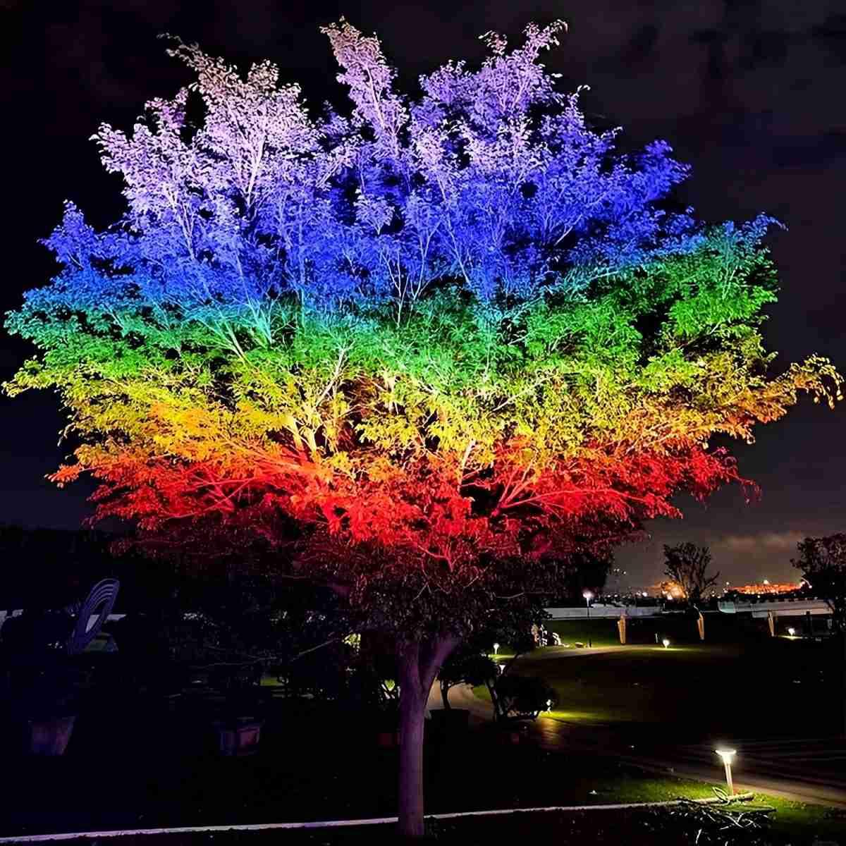 Outdoor Waterproof RGB LED Spot Lights Trees Lights - Flyachilles