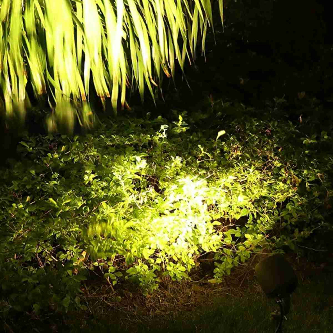 Outdoor Waterproof Round COB Spot Lights Trees Lights - Flyachilles