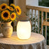 Portable Solar Outdoor Waterproof LED Hanging Lantern Lights - Flyachilles
