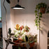 UFO Dish Greenhouse Garage Outdoor Waterproof LED Floodlight - Flyachilles