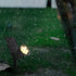 Waterproof LED Modern Solar Tree Spotlights Landscape Decor Lighting Lawn Light - Flyachilles