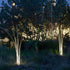 Waterproof Solar LED Reed Fiber Optic Shaped Light Landscape Light - Flyachilles